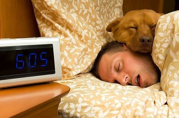 Reasons Why Your Dog Should Sleep In Your Bed At Night